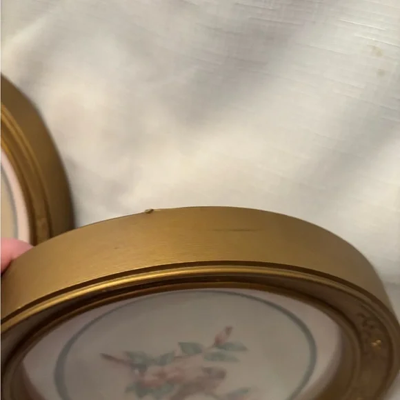 Gold Oval Framed Bird Art Set - Picture 5 of 8